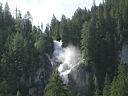 Simmental-05.jpg
